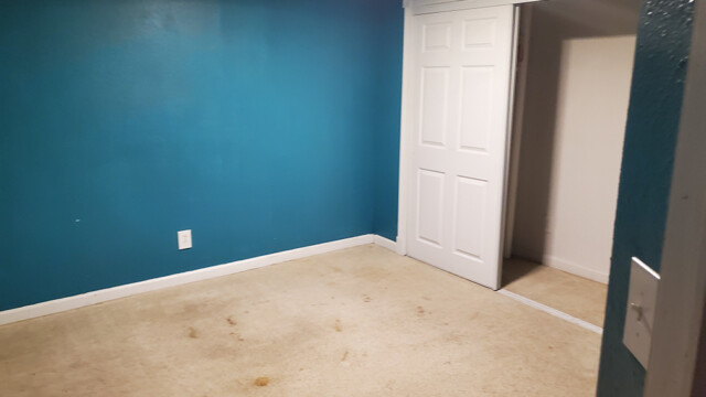 Basement room with painted walls and flooring.