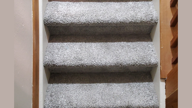 Carpeted basement stairs.
