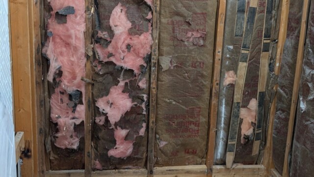 Shower area with wall framing and insulation exposed.